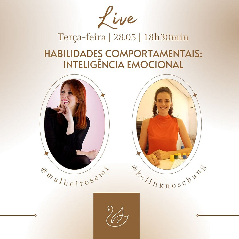 Soft skills: Cisne Humaniza Promove Lives sobre Habilidades Comportamentais